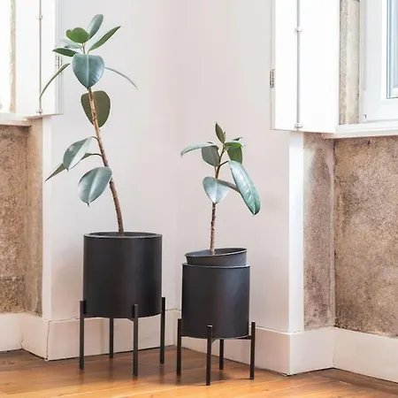 Casa B