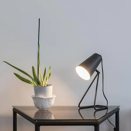 Apartment Casa B