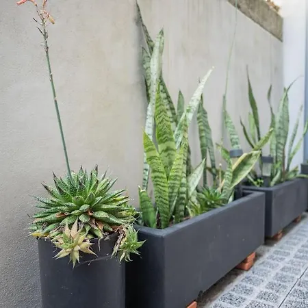 Casa B 아파트
